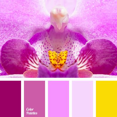 Orchid color palette