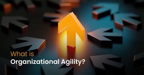 Organizational Agility