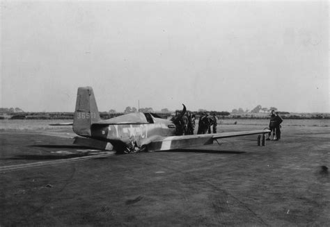 P-51 Mustang of the 555th Fighter Squadron