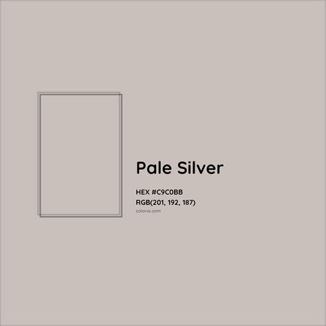 Pale Silver Color