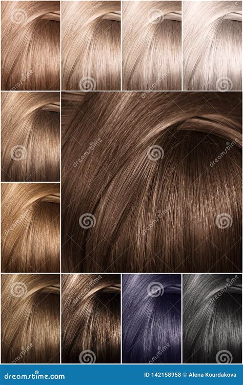 Palette Hair Color Gallery Image 1