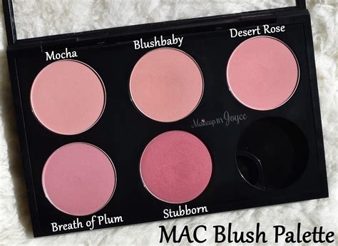 Palette Mac Blush Comparison