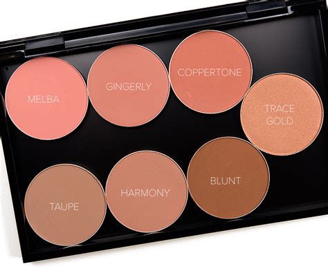 Palette Mac Blush Swatches