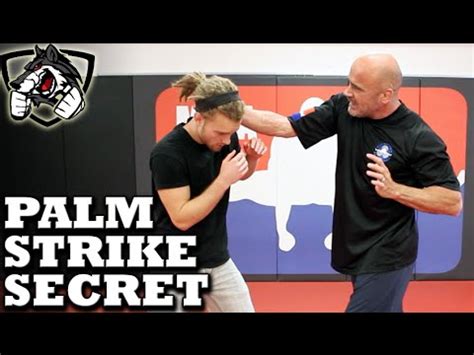 Palm Strike Technique