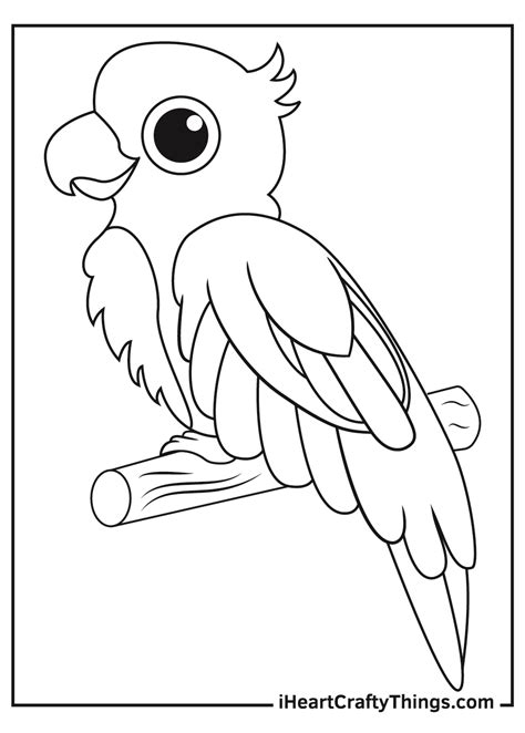 Parrots coloring pages