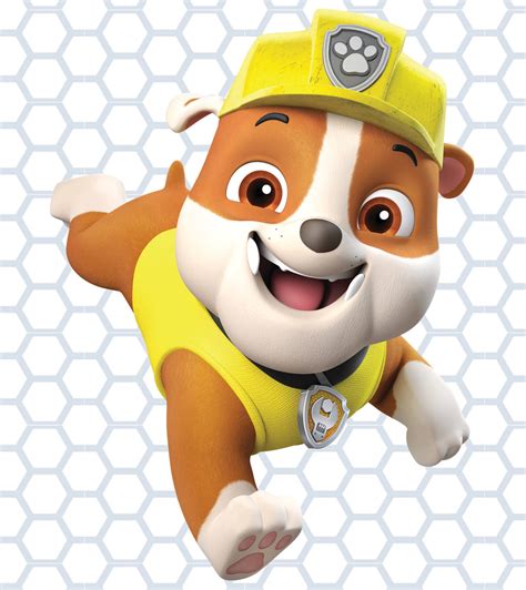 Paw Patrol Rubble