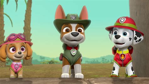 Paw Patrol Tracker