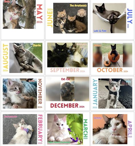 Creative paw print calendar ideas for pet owners