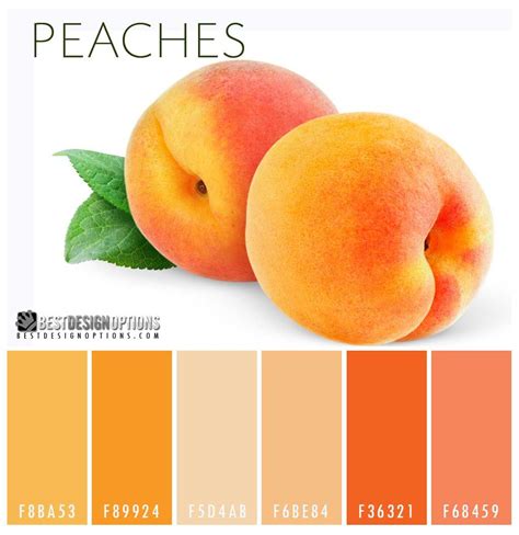 Peach Color Palette Inspiration 8