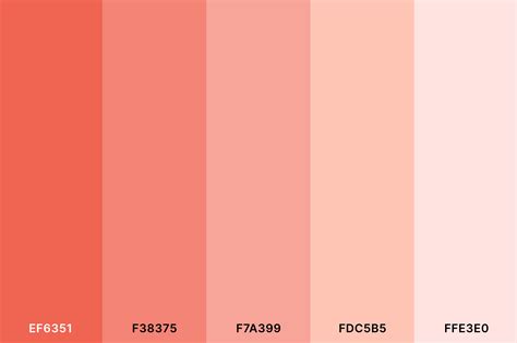 Peach colour palette for photography