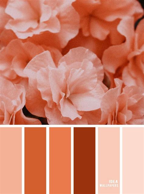 Peach colour palette inspiration 9