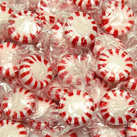 Peppermint candies color palette