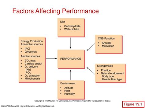 Writing the Performance Factors