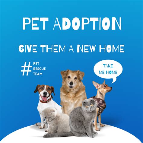 Pet adoption events