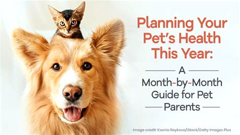 Pet health and wellness