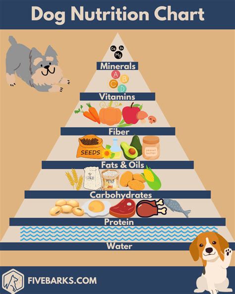 Pet nutrition advice