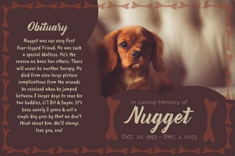 Pet Obituary Examples