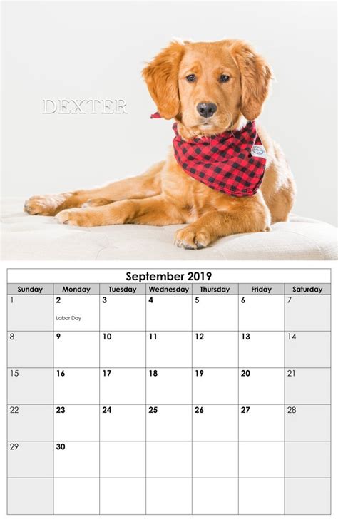 Pet portrait calendars with custom portraits