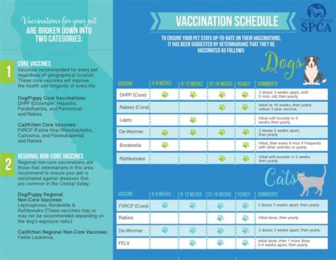 Pet vaccination schedules