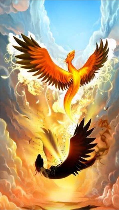 Phoenix Rebirth