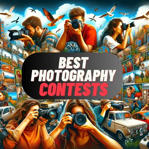 Photography contest winners