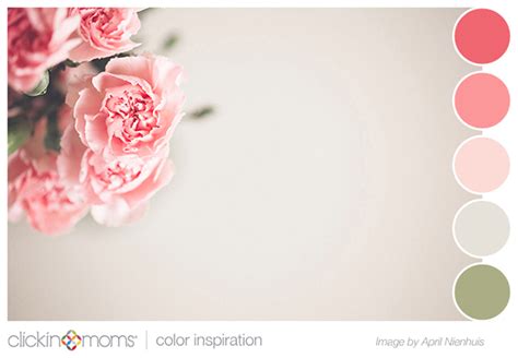 Photography Palette Inspiration