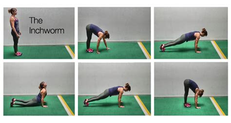 Physical Conditioning for Low Crawl