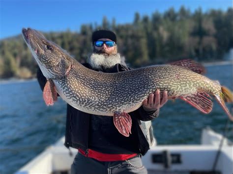 Pike fishing conservation