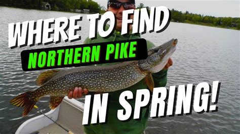 Pike fishing locations