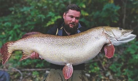 Pike fishing world record