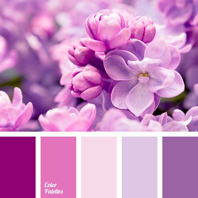 Pink and Purple Color Palette Inspiration Gallery 9