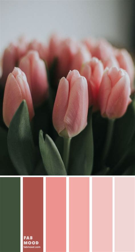 Pink and green color palette inspiration 1