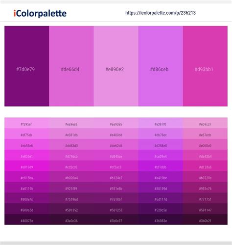 Pink Purple Color Palette