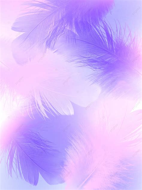 Pink Purple Soft