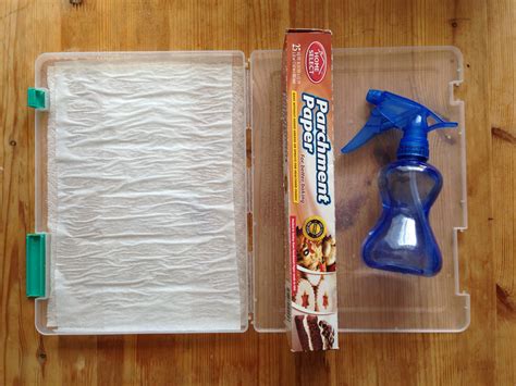 Plastic Bag and Paper Towel Wet Palette