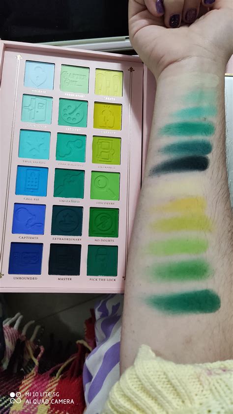 Plouise Eyeshadow Palette Swatches