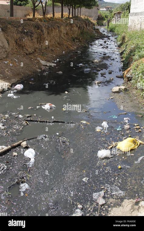 Polluted Jordan Valley Creek