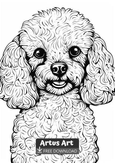 Poodle coloring sheet