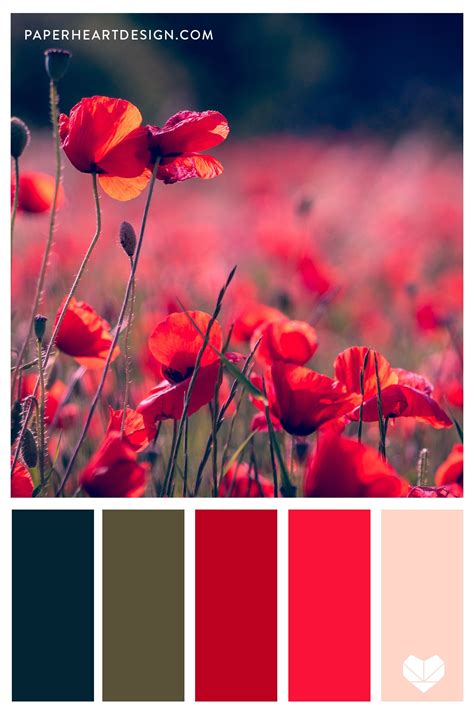 Poppy Color Palette Inspiration 2