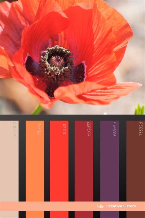 Poppy Color Palette Inspiration 4