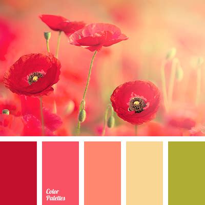 Vibrant Bloom Poppy Color Palette