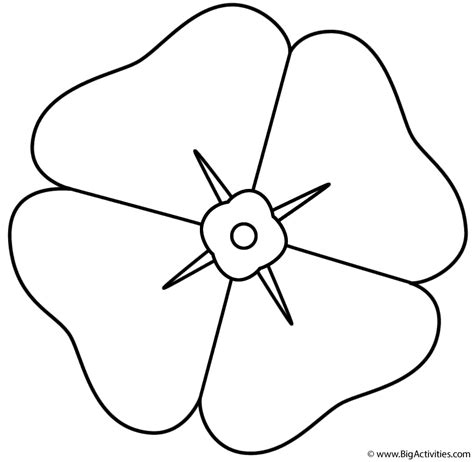 Poppy Colouring Page