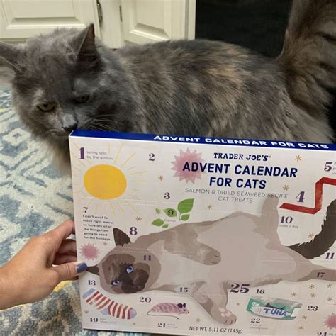 Popular features of Trader Joe's cat calendar