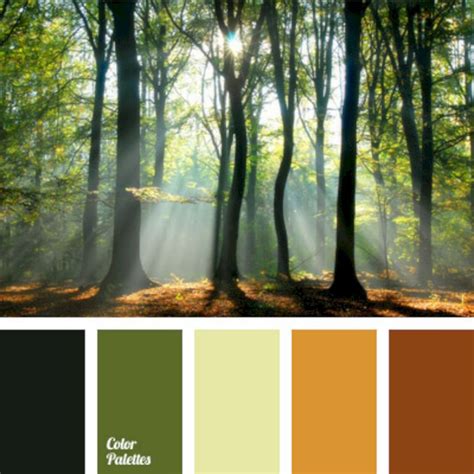 Popular Natural Color Palettes