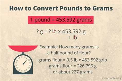 Pound to Gram Conversion