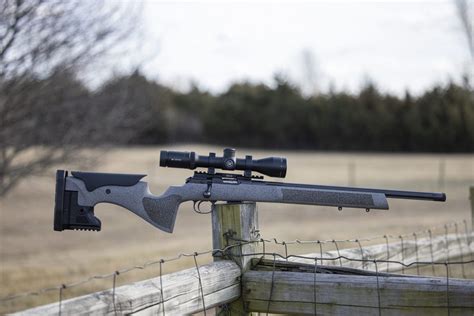 Precision Shooting With A 22 Caliber Rifle