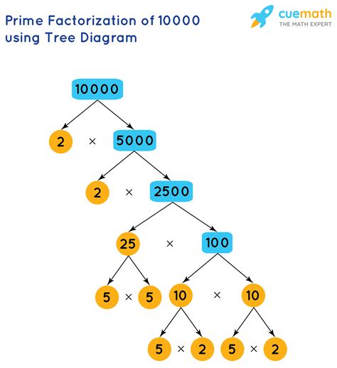 Prime Factorization Diagram