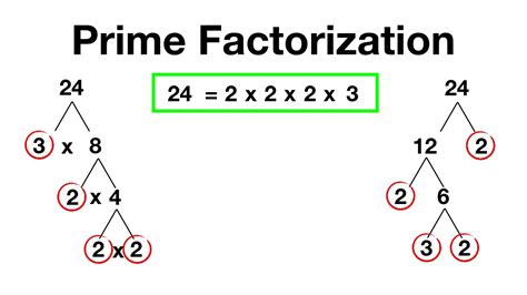 Prime Factorization Math