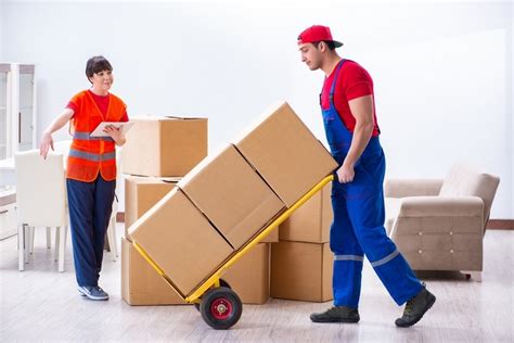 Colt Moving's professional moving team