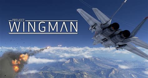 Project Wingman Future